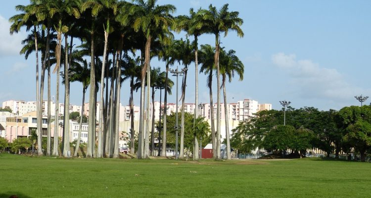 Quel est l'avantage de louer une voiture pour visiter la Martinique ?